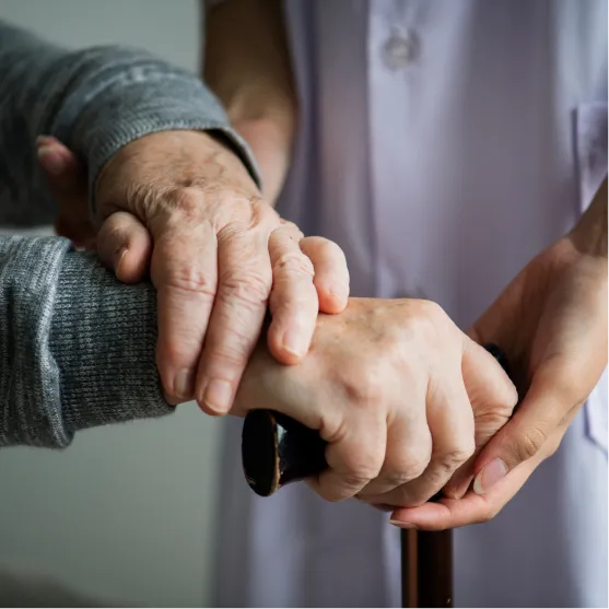 Trusted NDIS Provider Seville